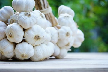 Fresh raw garlic bundle, copy space, kitchen raw ingredient concept