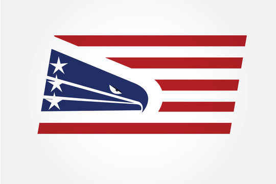 USA American eagle flag 