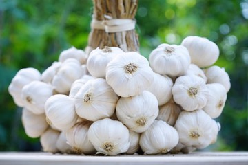 Fresh raw garlic bundle, copy space, kitchen raw ingredient concept