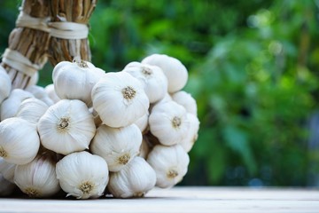 Fresh raw garlic bundle, copy space, kitchen raw ingredient concept