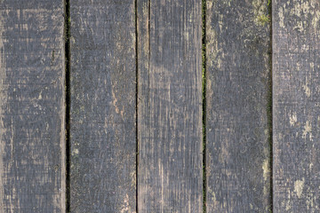 The old wooden fence 