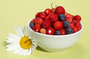 Porcelain bowl with strawberries and blueberries close-up