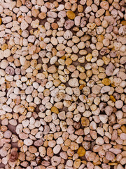 Crushed granite and pebble gravel texture.