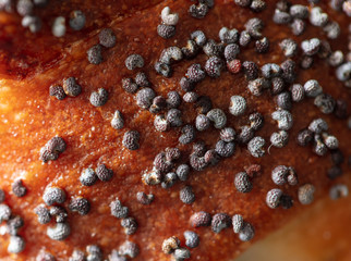 Poppy seeds in a bun as a background