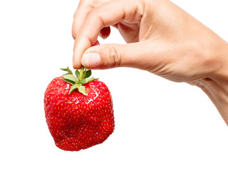 Red ripe strawberry in hand on a white background