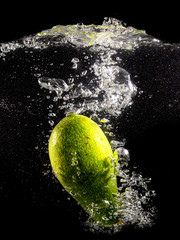 Green avocado in water on a black background