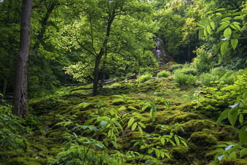 Schwäbische Alb, Gütersteiner Wasserfall