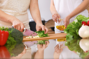 Closeup of human hands cooking in kitchen. Mother and daughter or two female friends cutting vegetables for fresh salad. Healthy meal, vegetarian food and lifestyle concepts