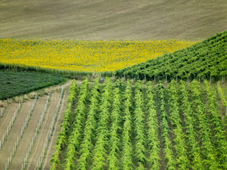 beautiful landscape design