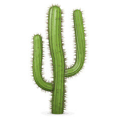 Vector 3d Cactus