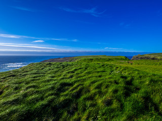 Fototapeta premium The grasslands at the Cliffs of Kilkee in Ireland