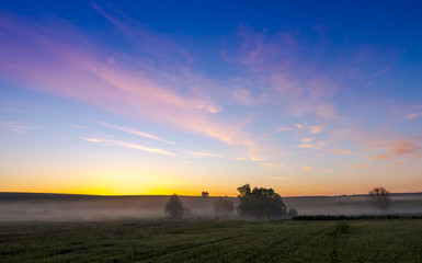 Sunrise over the field covered with fog.