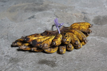 The Real Javanese Bananas