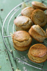 Muffin Citron et Pavot pour le Goûter