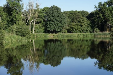 Fototapeta na wymiar Reflektion in forest lake