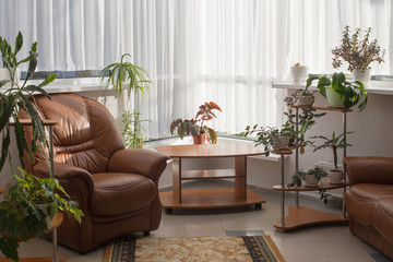 home interior with houseplants.