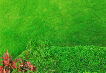 Landscaped formal garden park design top view,green grass with bush gardening.