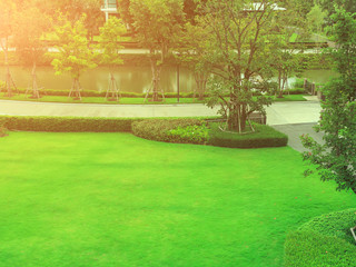 The evening sun shines on green lawns and gardens with beautiful garden designs.