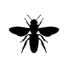 Bee icon . Bee black image on white background, top view