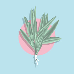 Minimalist pastel olive leaves bridal bouquet with pink circle on blue background