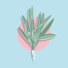 Meubelstickers Minimalist pastel olive leaves bridal bouquet with pink circle on blue background © momosama