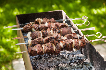 Appetizing barbecue shish kebab fried on charcoal grill outdoor