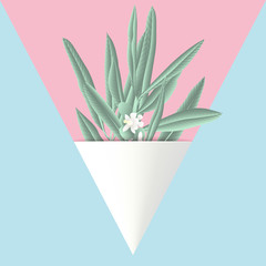 Minimalist pastel olive leaves with white flowers in cone on pink and blue background