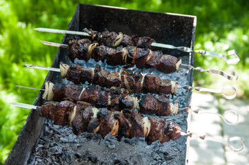 Appetizing barbecue shish kebab fried on charcoal grill outdoor