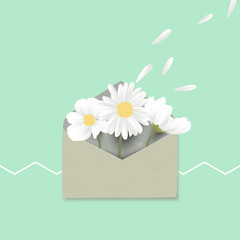 Minimalist pastel white daisy flower and cosmos flowers in envelope on green background