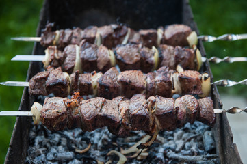 Appetizing barbecue shish kebab fried on charcoal grill outdoor
