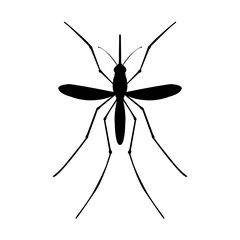 Mosquito icon . Mosquito black image on white background, top view