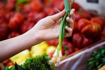 Close hand chooses a green onion on the background of a shelf in a vegetable store