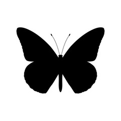 Butterfly icon . Butterfly black image on white background, top view