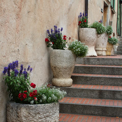 Fototapeta na wymiar Stairs lovely decorated with flower pots