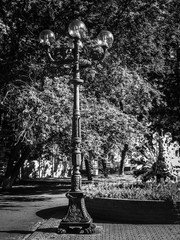 branch, Cemetery, Cross, day, formal garden, Growth, Lighting equipment, Nature, no people, outdoors, park, park-man made space, Plant, religion, street, Street Light, Sunlight, Tranquility, Tree, Tre