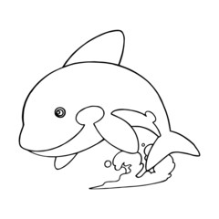Killer whale cartoon illustration isolated on white background for children color book