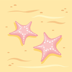 Fototapeta na wymiar Starfish vector illustration. banner for web site. Sea stars Symbol. Summer vacation concept
