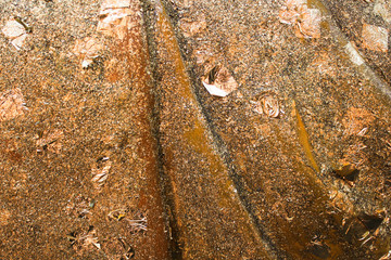 Gold leaf or gold foil on background texture