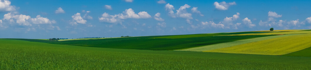 panorama beautiful view landscape field