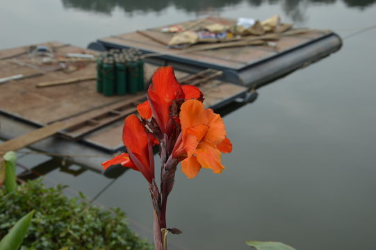 Yangjiang