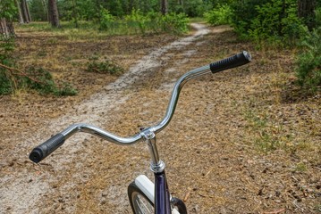 Naklejka na ściany i meble iron bicycle rudder on a forest path