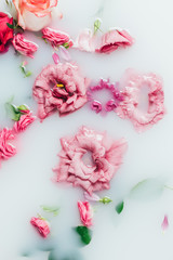 top view of arranged beautiful pink roses and chrysanthemum flower in milk