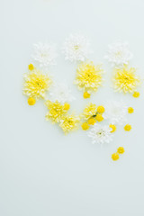 top view of yellow and white chrysanthemum flowers in milk backdrop