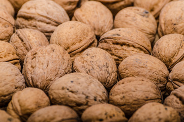 Walnuts product photography