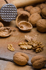 Walnuts product photography
