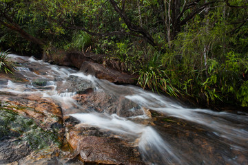 NATURE STREAM WATERFALL ON THE PEACEFULL MORNING