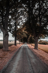 Nature Road