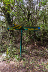 Whakapapa natural walk in Tongariro National Park, North Island, New Zealand.