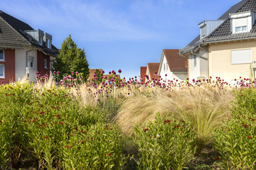 Blumeninsel mit Häuser im Hintergrund in Iffezheim - obrazy, fototapety, plakaty