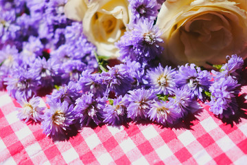 White roses and Purple Marguerite Daisy flowers on red checkered tablecloth in green bokeh nature garden background.Ultra violet for 2018.Use for Valentine day and holiday concept.Copy space.